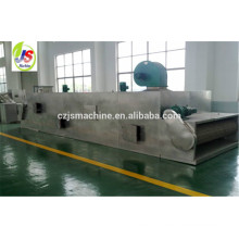 DWT Series conveyor mesh vegetable dryer machine